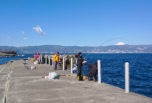 初島で釣りをしよう